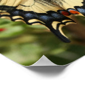 Anise Frack Poster Print (Ecke)