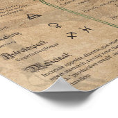 Anise Herbal Buch Schatten Pagan Wiccan Poster (Ecke)