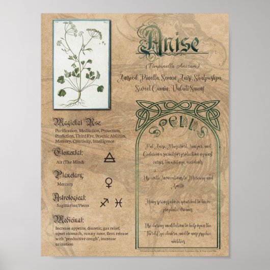 Anise Herbal Buch Schatten Pagan Wiccan Poster (Vorne)