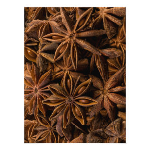 Anise Stars Fotodruck