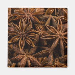Anise Stars Magnet