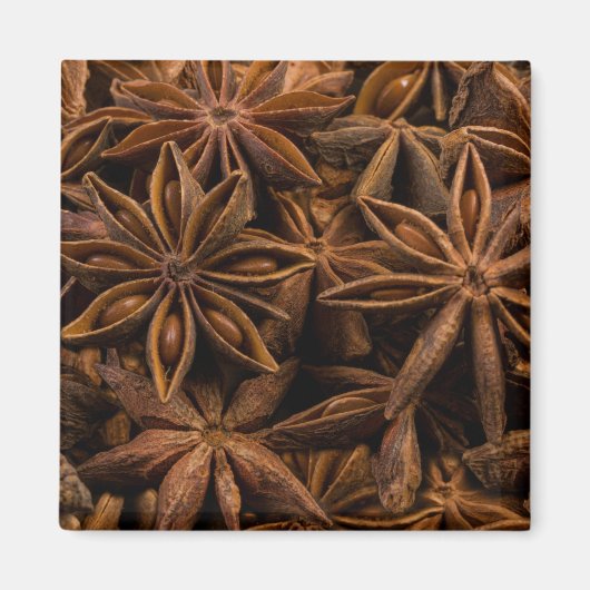 Anise Stars Magnet (Vorne)