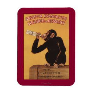 Anisetta Evangelisti Liquore DA Nachtisch Magnet