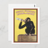 Anisetta Evangelisti Postkarte (Vorne/Hinten)