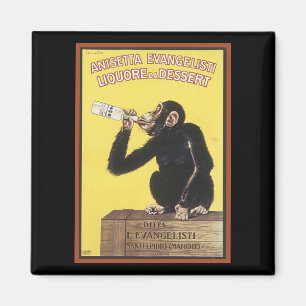 Anisetta Evangelisti Vintage-Alkohol-Werbemagnet Magnet