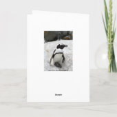 Anita Happy Birthday African Penguins Spaß Card Karte (Rückseite)
