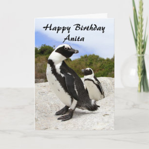 Anita Happy Birthday African Penguins Spaß Card Karte