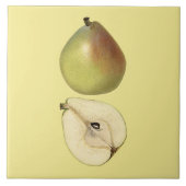 Anjou Pear Botanical Tile ~ Küche ~ Farbe ~ Fliese (Vorderseite)