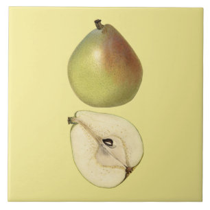 Anjou Pear Botanical Tile ~ Küche ~ Farbe ~ Fliese