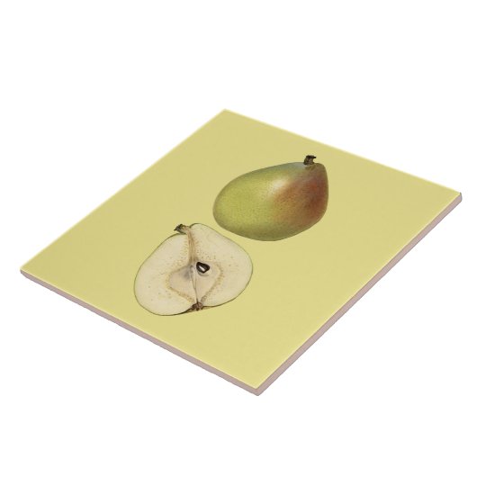 Anjou Pear Botanical Tile ~ Küche ~ Farbe ~ Fliese (Seite)