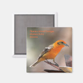 Ankermagnet Magnet (Vorderseite/Rückseite)