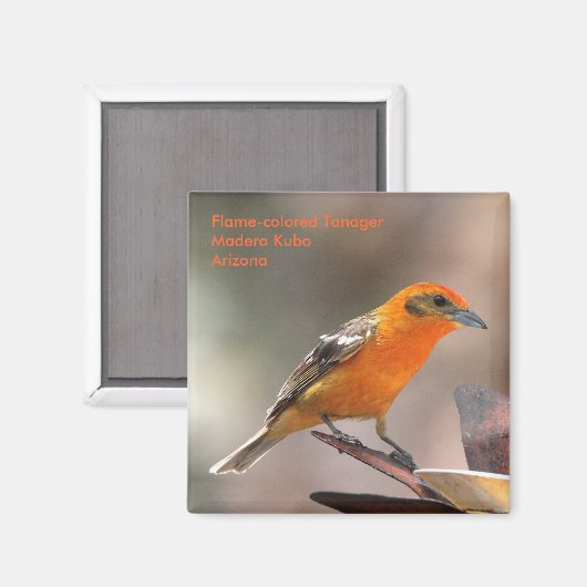 Ankermagnet Magnet (Vorderseite/Rückseite)