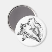 Ankermagnet Magnet (Vorderseite/Rückseite)