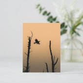 Anklamer Stadtbruch Postcard Postkarte (Stehend Vorderseite)