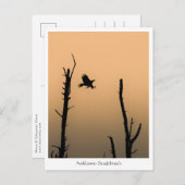 Anklamer Stadtbruch Postkarte (Vorne/Hinten)