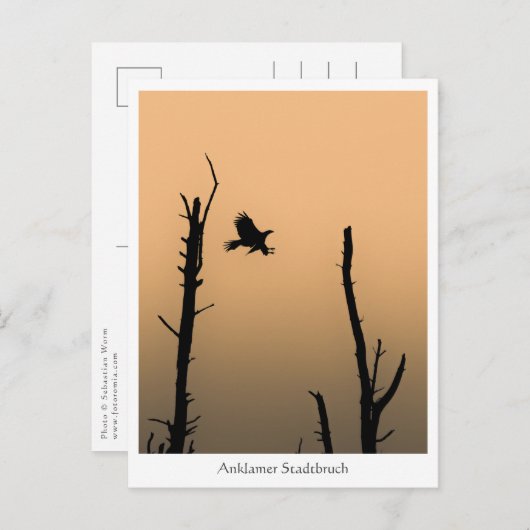 Anklamer Stadtbruch Postkarte (Vorne/Hinten)