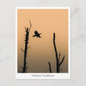 Anklamer Stadtbruch Postkarte (Vorderseite)