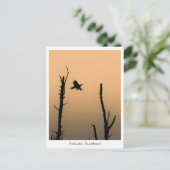 Anklamer Stadtbruch Postkarte (Stehend Vorderseite)