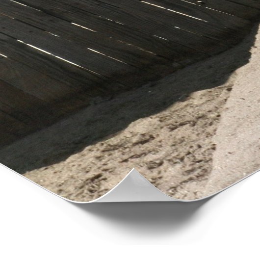 Ankole-Watusi Cattle Poster (Ecke)