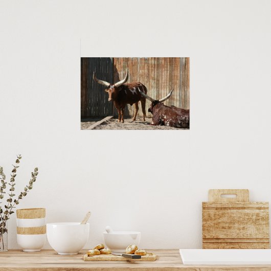 Ankole-Watusi Cattle Poster (Küche)