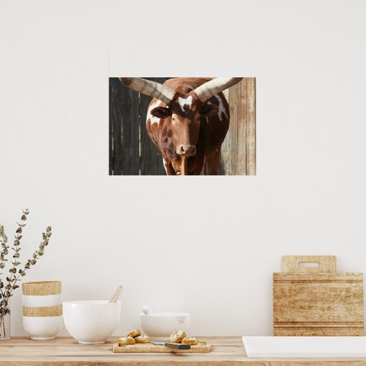 Ankole-Watusi Cattle Poster (Küche)