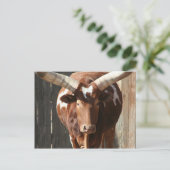 Ankole-Watusi-Lenker mit riesigen Hörnern Postkarte (Stehend Vorderseite)