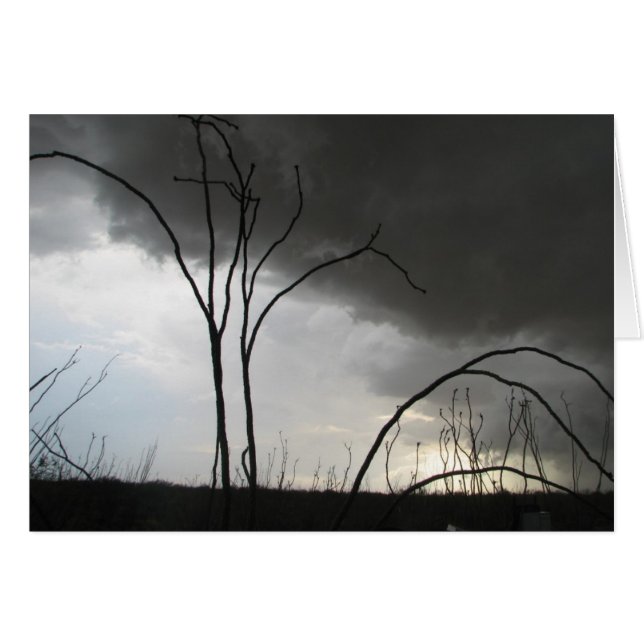 Ankommender Sturm (Vorderseite (Horizontal))