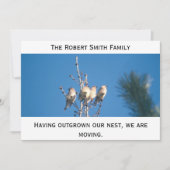 Ankündigung - Außerhalb unseres Nest ... (Vorderseite)