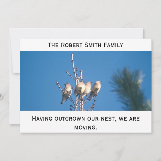 Ankündigung - Außerhalb unseres Nest ... (Vorderseite)