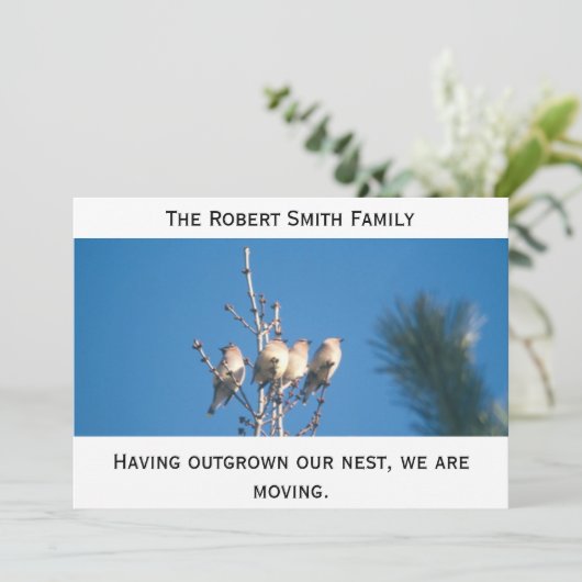 Ankündigung - Außerhalb unseres Nest ... (Stehend Vorderseite)