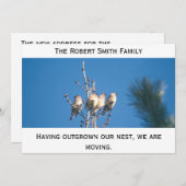 Ankündigung - Außerhalb unseres Nest ... (Vorne/Hinten)