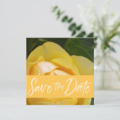 Ankündigung Datum freihalten (Stehend Vorderseite)