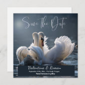 Ankündigung Datum freihalten (Vorne/Hinten)