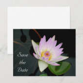 Ankündigung Datum freihalten Postkarte (Vorne/Hinten)