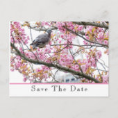 Ankündigung Datum freihalten Postkarte (Vorderseite)