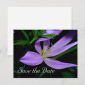 Ankündigung Datum freihalten Postkarte (Vorne/Hinten)