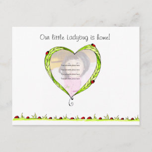 Ankündigung der Adoption Ladybug