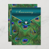 Ankündigung der aquamarinen Pfauenpflege-Verlobung (Vorne/Hinten)