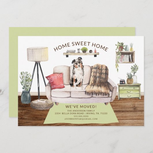 Ankündigung der australischen Schäfer-Hunde (Vorne/Hinten)