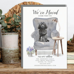 Ankündigung der Black Cockapoo-Bewegung