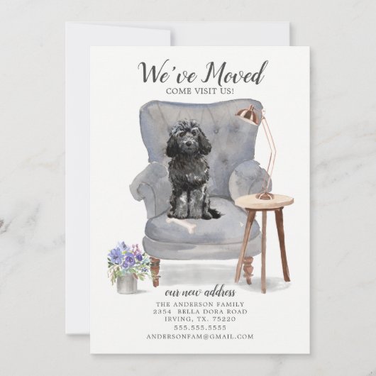 Ankündigung der Black Cockapoo-Bewegung (Vorderseite)