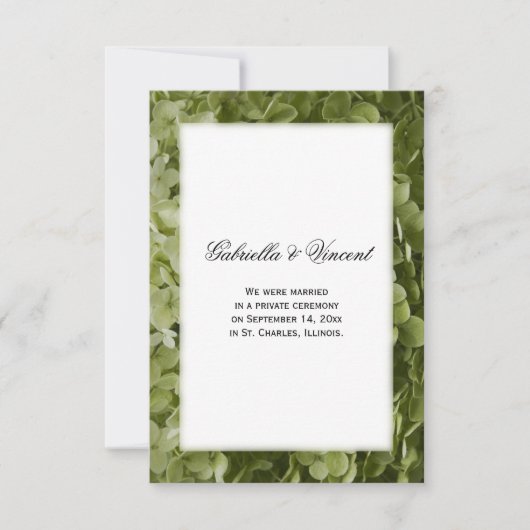 Ankündigung der Heirat der grünen Hydrangea-Blume (Vorderseite)