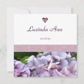 Ankündigung der lila Hydrangea-Adoption (Rückseite)