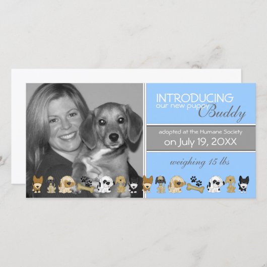 Ankündigung der neuen Adoption für Hunde (Vorne/Hinten)