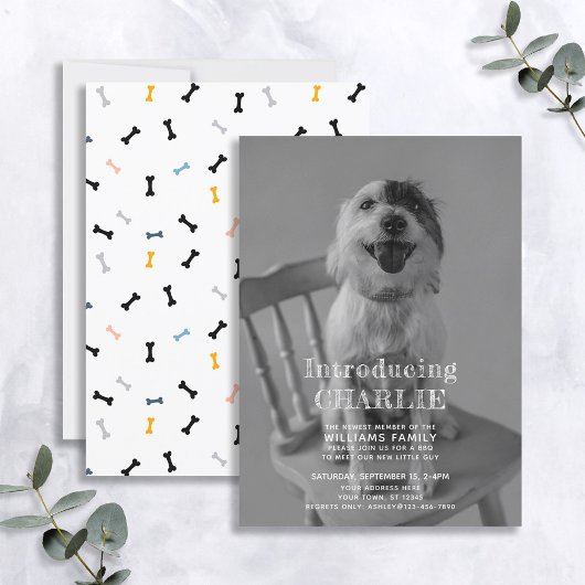 Ankündigung der neuen Adoption für Welpen-Foto