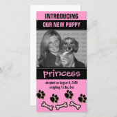 Ankündigung der neuen Adoption von Haustieren (Vorne/Hinten)