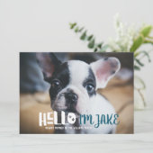 Ankündigung der neuen Adoption von Haustieren | Ha (Stehend Vorderseite)