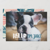 Ankündigung der neuen Adoption von Haustieren | Ha (Vorne/Hinten)