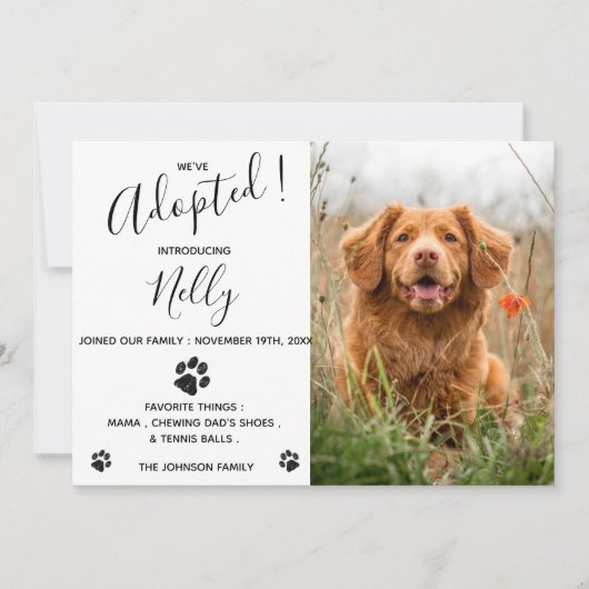 Ankündigung der neuen Hunde Katze (Vorderseite)