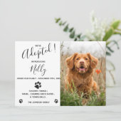 Ankündigung der neuen Hunde Katze (Stehend Vorderseite)